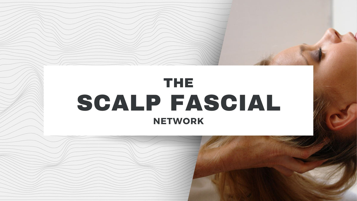 Exploring the Fascial Network of the Scalp: Connections and the Power of Release