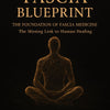 The Fascia Blueprint